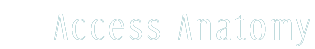 Access Anatomy Logo