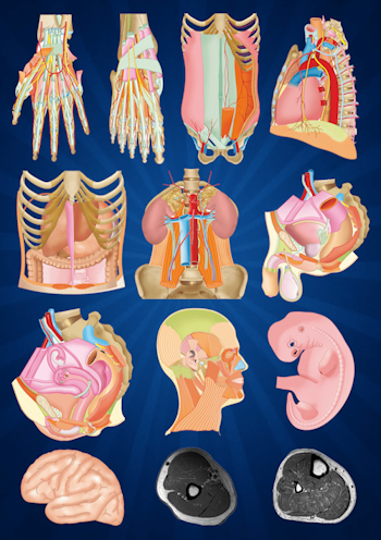 Pathologie Médicale